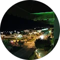 Giu Vit Avatar