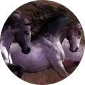 carrol karmi Avatar