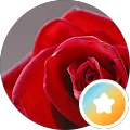Sats Avatar